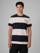 mini: Męski t-shirt z nadrukiem 4F 4FRSS26TTSHM3975 - czarny (1)