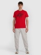 mini: Męski t-shirt z nadrukiem 4F 4FWAW25TTSHM3133 - czerwony (5)
