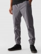 mini: Męskie spodnie casual joggery 4F 4FWMM00TTROM0944 - szary (2)