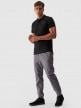 mini: Męskie spodnie casual joggery 4F 4FWMM00TTROM0944 - szary (1)