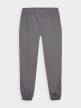 mini: Męskie spodnie casual joggery 4F 4FWMM00TTROM0944 - szary (5)