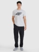 mini: Męski t-shirt z nadrukiem 4F 4FWMM00TTSHM2658 - szary (2)