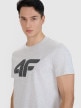 mini: Męski t-shirt z nadrukiem 4F 4FWMM00TTSHM2658 - szary (4)