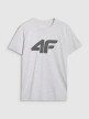 mini: Męski t-shirt z nadrukiem 4F 4FWMM00TTSHM2658 - szary (6)