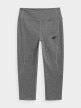 mini: Damskie legginsy treningowe 3/4 4F NOSH4-SPDF350 - szare (4)