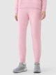 mini: Damskie spodnie dresowe joggery 4F 4FWMM00TTROF1386 - różowe (2)