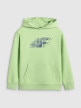 mini: Chłopięca bluza nierozpinana z kapturem 4F 4FJRAW25TSWSM2414 - zielona (6)