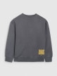 mini: Chłopięca bluza nierozpinana bez kaptura 4F 4FJRAW25TSWSM2448 - szara (7)