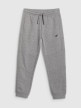 mini: Chłopięce spodnie dresowe joggery 4F 4FJRAW25TTROM1578 - szare (6)