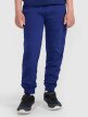 mini: Chłopięce spodnie dresowe joggery 4F 4FJRAW25TTROM1578 - granatowe (2)