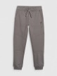  4F JUNIOR Chłopięce spodnie dresowe joggery 4F 4FJRAW25TTROM1663  szare Szary