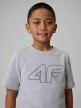 mini: Chłopięcy t-shirt z nadrukiem 4F 4FJRSS26TTSHM3599 - szary (3)