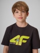 mini: Chłopięcy t-shirt z nadrukiem 4F 4FJRSS26TTSHM4280 - szary (3)