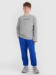 mini: Chłopięcy longsleeve z nadrukiem 4F 4FJWAW25TLONM485 - szary (2)