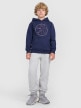 mini: Chłopięca bluza nierozpinana z kapturem 4F 4FJWAW25TSWSM1958 - granatowa (2)