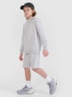 mini: Chłopięce spodenki dresowe 4F 4FJWMM00TSHOM629 - szare (3)