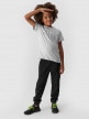 mini: Chłopięcy t-shirt z nadrukiem 4F 4FJWMM00TTSHM1627- szary (4)
