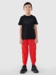 mini: Chłopięcy t-shirt z nadrukiem 4F 4FJWSS25TTSHM2179 - czarny (2)