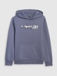 mini: Chłopięca bluza dresowa nierozpinana z kapturem 4F 4FJRAW25TSWSM2416 - niebieska (7)