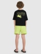 mini: Chłopięce spodenki plażowe 4F 4FJRMM00UBDSM110 - zielone (5)