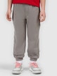 mini: Chłopięce spodnie dresowe 4F 4FJRSS26TTROM1874 - szare (2)