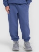 mini: Chłopięce spodnie dresowe joggery 4F 4FJRAW25TTROM1634 - niebieskie (2)