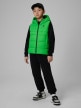 mini: Chłopięcy bezrękawnik puchowy pikowany 4F 4FJWSS26TVJAM313 - zielony (5)