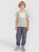 mini: Chłopięcy t-shirt z nadrukiem 4F 4FJRAW25TTSHM3205 - zielony (2)