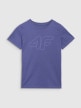 mini: Chłopięcy t-shirt z nadrukiem 4F 4FJRAW25TTSHM3261 - niebieski (5)