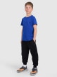 mini: Chłopięcy t-shirt z nadrukiem 4F 4FJRAW25TTSHM3261 - niebieski (2)