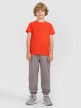 mini: Chłopięcy t-shirt z nadrukiem 4F 4FJWAW25TTSHM2417 - czerwony (2)