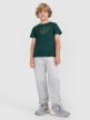 mini: Chłopięcy t-shirt z nadrukiem 4F 4FJWAW25TTSHM2417 - zielony (2)
