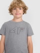 mini: Chłopięcy t-shirt z nadrukiem 4F 4FJWAW25TTSHM2417 - szary (4)
