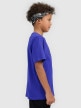 mini: Chłopięcy t-shirt z nadrukiem 4F 4FJWSS26TTSHM3007 - niebieski (2)