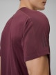 mini: Męska koszulka treningowa 4F 4FRSS26TFTSM2289 - burgundowa (5)