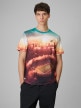 mini: Męski t-shirt z nadrukiem 4F 4FRSS26TTSHM3639 - multikolor (1)