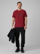 mini: Męski t-shirt z nadrukiem 4F 4FRSS26TTSHM3989 - czerwony (2)