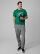mini: Męski t-shirt z nadrukiem 4F 4FWSS26TTSHM3327 - zielony (5)