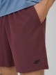 mini: Męskie spodenki treningowe 4F 4FRSS26TFSHM1662 - burgundowe (4)