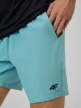 mini: Męskie spodenki treningowe 4F 4FRSS26TFSHM1662 - turkusowe (4)