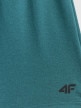 mini: Męskie spodenki treningowe 4F 4FWSS26TFSHM1277 - zielone (8)