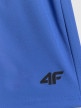 mini: Męskie spodenki treningowe 4F 4FWSS26TFSHM1278 - niebieskie (10)