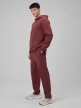 mini: Męskie spodnie dresowe 4F 4FRSS26TTROM1856 - burgundowe (3)