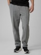 mini: Męskie spodnie dresowe 4F 4FRSS26TTROM1856 - szare (2)