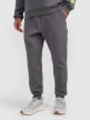 mini: Męskie spodnie dresowe joggery 4F 4FRAW25TTROM1610 - szare (5)