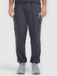 mini: Męskie spodnie dresowe joggery 4F 4FRAW25TTROM1694 - szare (2)