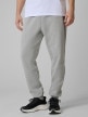 mini: Męskie spodnie dresowe joggery 4F 4FRSS26TTROM1962 - szare (2)