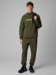  4F Męskie spodnie dresowe joggery 4F 4FWSS26TTROM1442  khaki Khaki