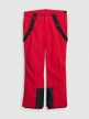 mini: Męskie spodnie narciarskie 4F 4FWAW25TFTRM0924 - czerwone (9)