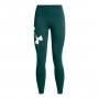 Damskie legginsy dzianinowe Under Armour Campus Legging - zielone